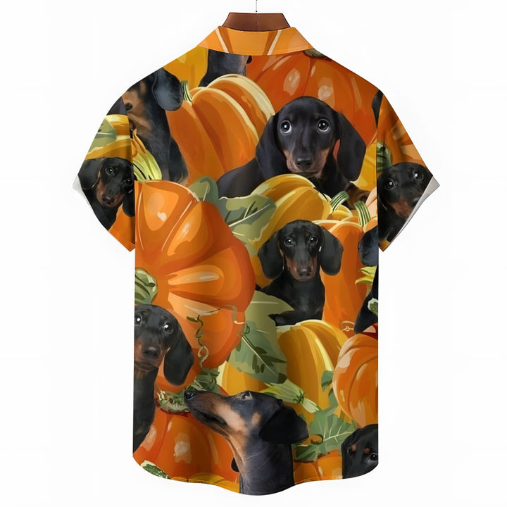 Thanksgiving Pumpkin Dachshund Short Sleeve Shirt 2410003811