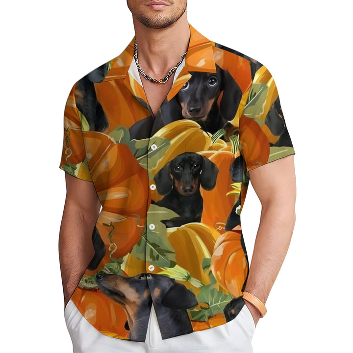 Thanksgiving Pumpkin Dachshund Short Sleeve Shirt 2410003811