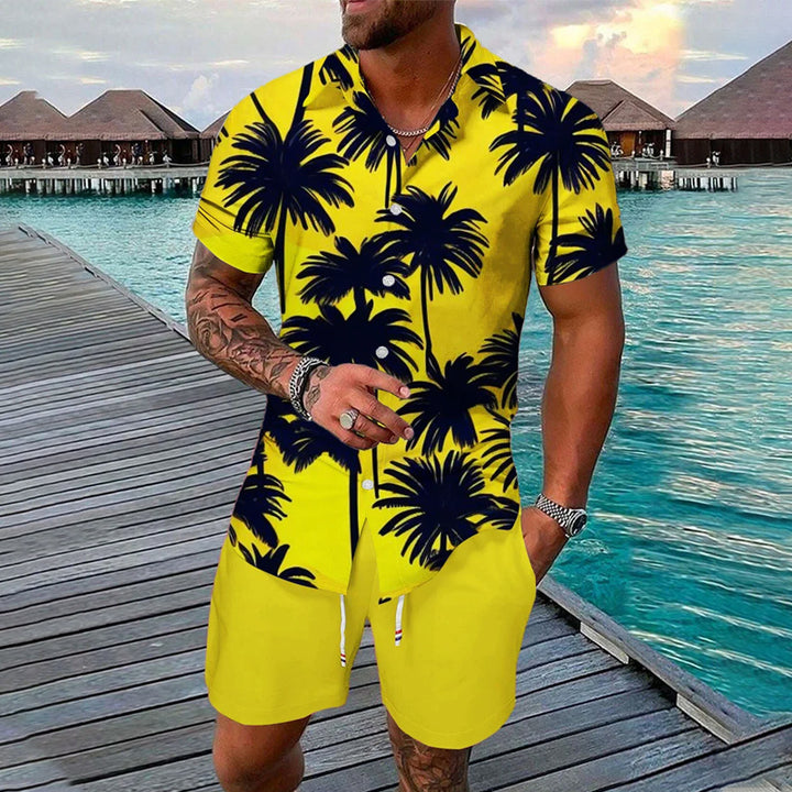 Men's Relaxation Vacation Palm Tree Art Printing Shorts Suit 2406000749