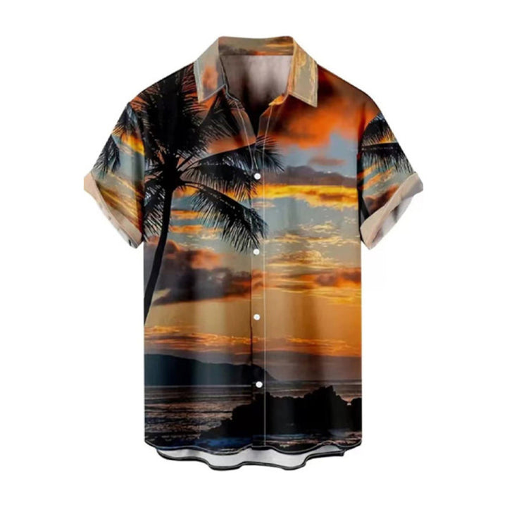 Men's Hawaiian Oversized Short Sleeve Shirt 2406001925