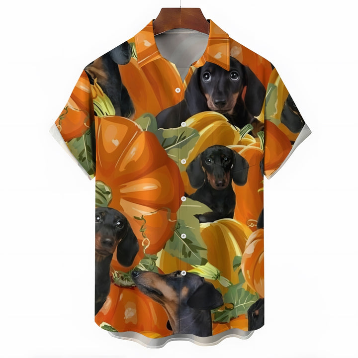 Thanksgiving Pumpkin Dachshund Short Sleeve Shirt 2410003811