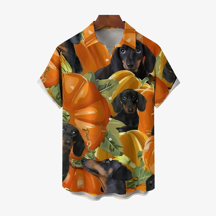 Thanksgiving Pumpkin Dachshund Short Sleeve Shirt 2410003811